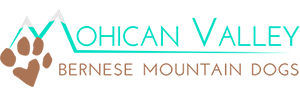 Mohican Valley Bernese Mountains Dogs